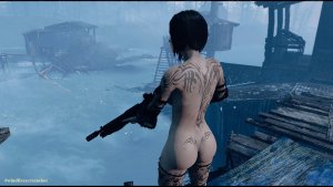 ... Fallout-4 (Сборка 10.5)