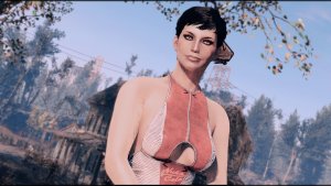 Поселенки. Fallout-4 (Сборка 10.5)