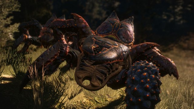 The Witcher 3 Screenshot 2025.05.25 - ЦИКЛОПЕНДРЫ.jpg