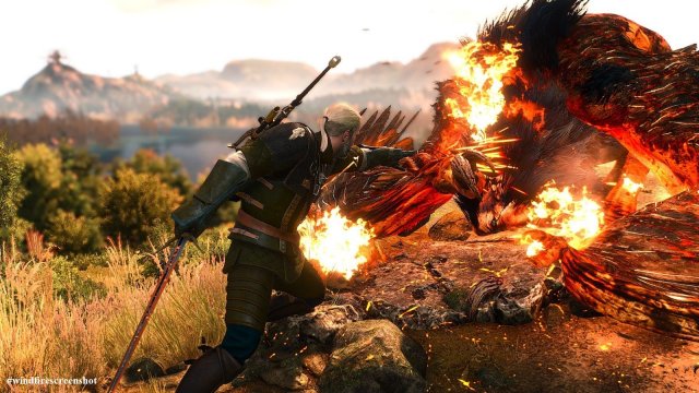 The Witcher 3 Screenshot 2025.04.29 - 20.32.39.89.jpg