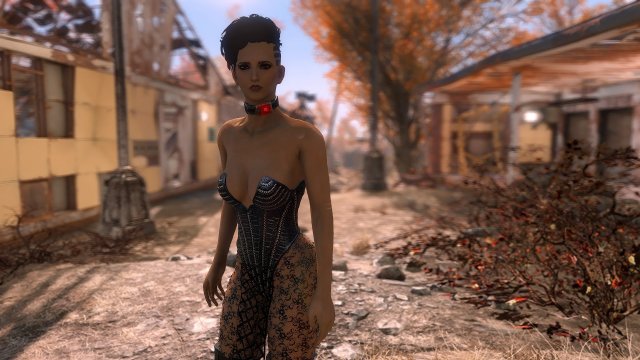 Fallout4 2025-05-17 07-00-22.jpg