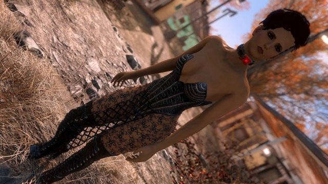 Fallout4 2025-05-17 07-01-38.jpg