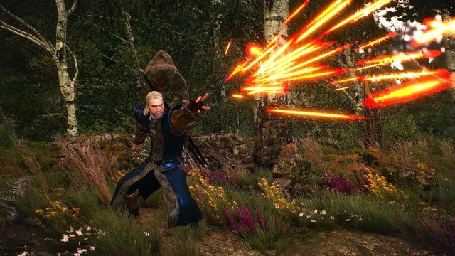 The Witcher 3 Screenshot 2025.04.12 - 21.43.52.76.jpg