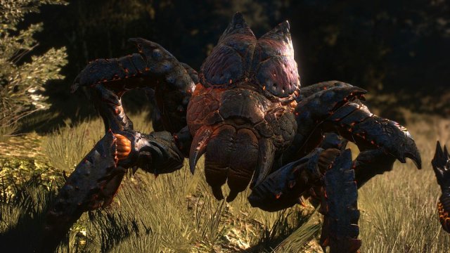 The Witcher 3 Screenshot 2025.05.25 - 23.25.54.10.jpg