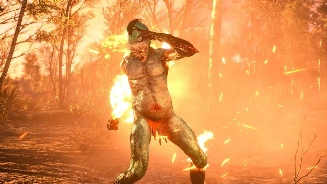 The Witcher 3 Screenshot 2025.04.27 - 20.07.09.36.jpg