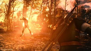 Геральт жарит утопцев.. Ведьмак III (сборка Торна)