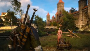 ПЕЙЗАЖНОЕ, с Геральтом.. Ведьмак III (сборка Торна)