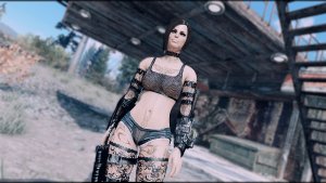 Нора - дома.. Fallout-4 (Сборка 10.5)