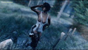 У забора. Fallout-4 (Сборка 10.5)