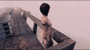 Не видно ни зги.. Fallout-4 (Сборка 10.5)