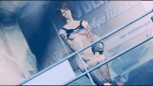 НЕЛ - моя новая перса.. Fallout-4 (Сборка 11)