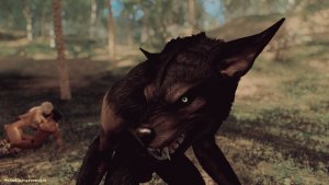 И даже не подсматривает ;) SKYRIM AE (Сборка 16)