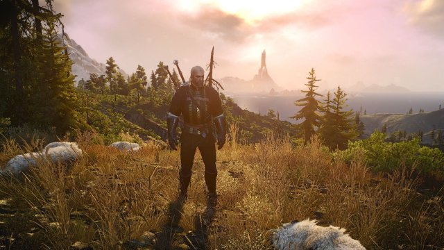 The Witcher 3 Screenshot 2025.05.02 - 20.47.03.71.jpg