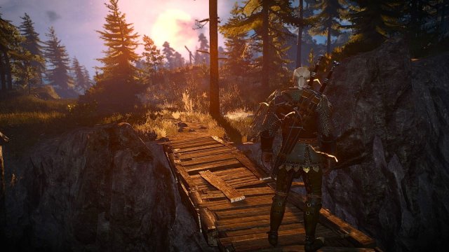 The Witcher 3 Screenshot 2025.06.04 - 22.34.08.33.jpg