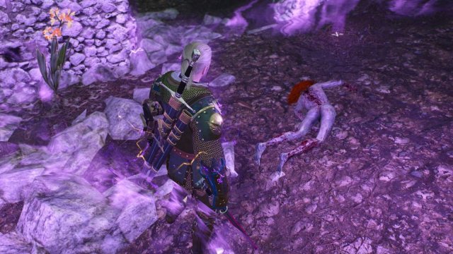 The Witcher 3 Screenshot 2025.06.03 - 22.08.48.70.jpg