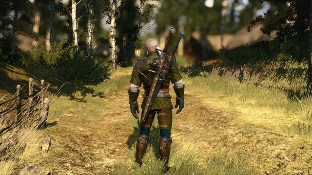 The Witcher 3 Screenshot 2025.05.04 - 22.04.31.94.jpg