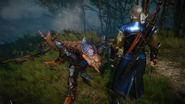 The Witcher 3 Screenshot 2025.04.13 - 23.33.06.65.jpg