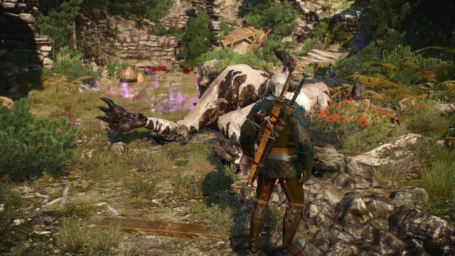 The Witcher 3 Screenshot 2025.05.19 - 23.16.22.78.jpg