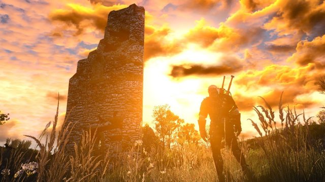 The Witcher 3 Screenshot 2025.05.02 - 21.46.53.19.jpg