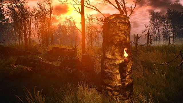 The Witcher 3 Screenshot 2025.04.21 - 22.33.25.77.jpg