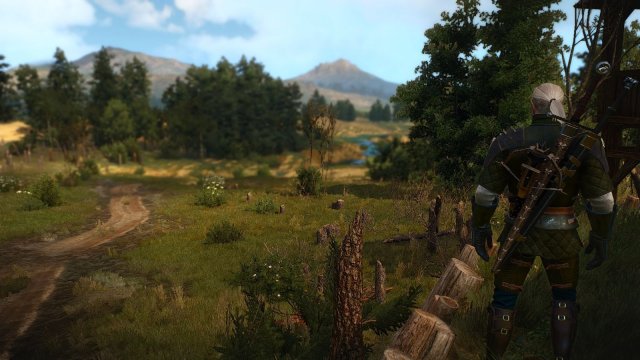 The Witcher 3 Screenshot 2025.05.01 - 20.55.27.08.jpg