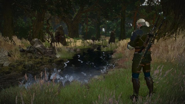 The Witcher 3 Screenshot 2025.05.02 - 20.37.05.65.jpg