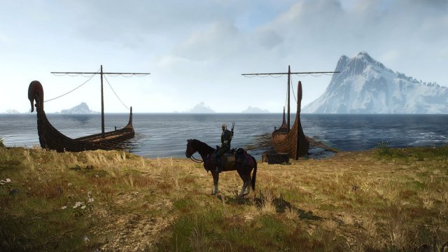 The Witcher 3 Screenshot 2025.05.03 - 20.50.28.82.jpg