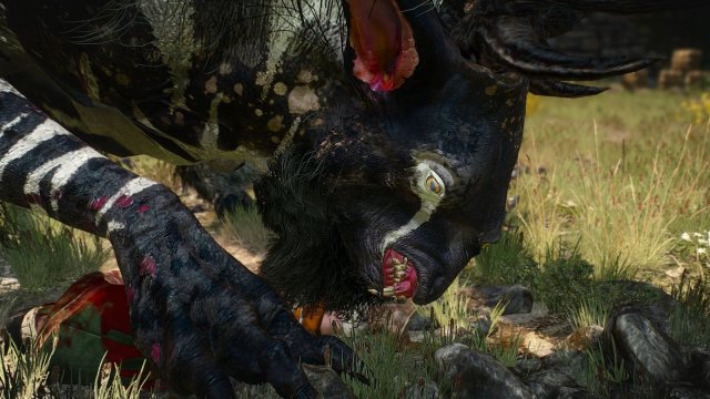 The Witcher 3 Screenshot 2025.05.19 - 23.09.26.63.jpg