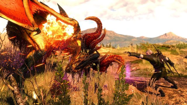 The Witcher 3 Screenshot 2025.05.02 - 22.28.18.89.jpg