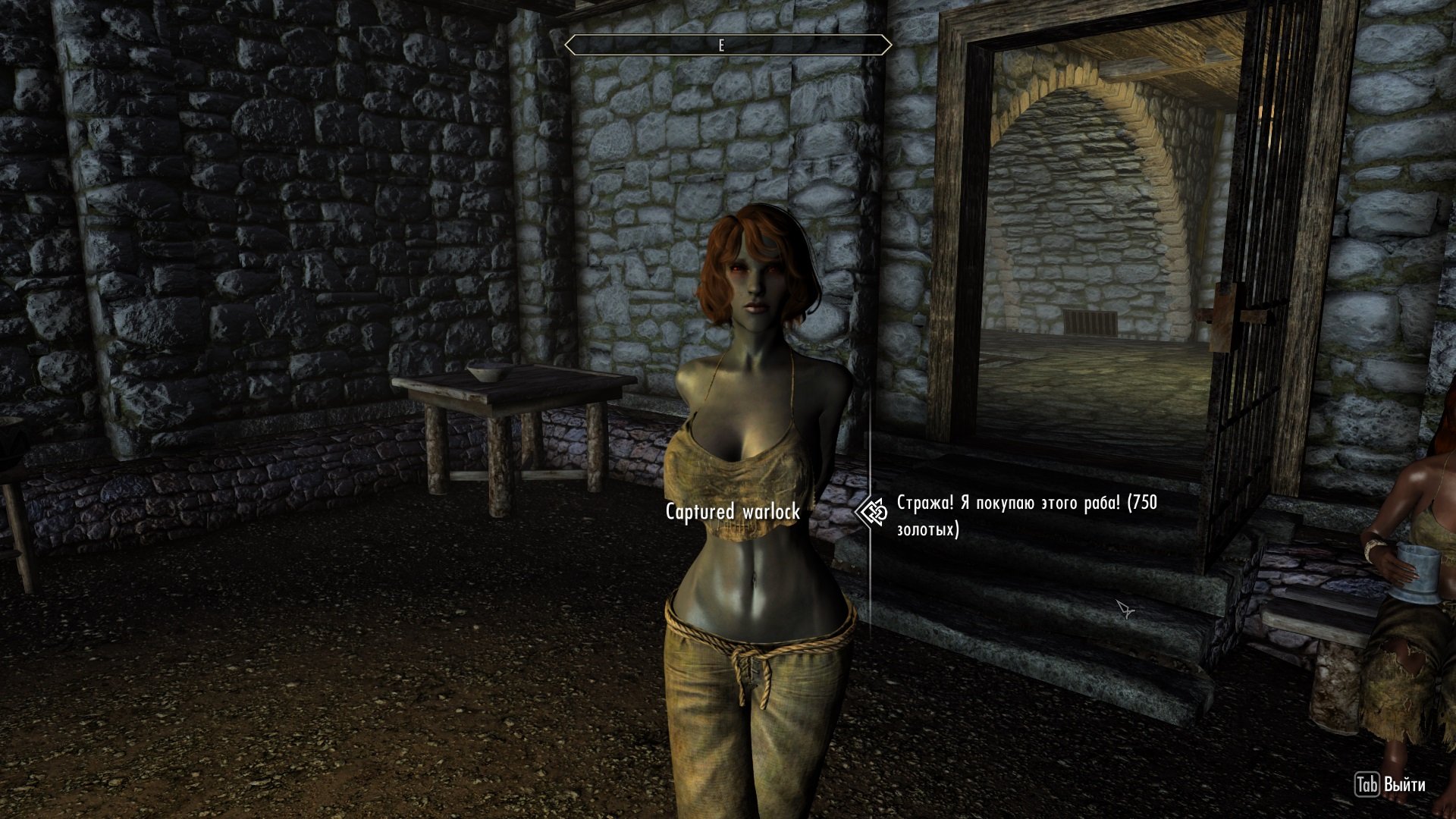 Enthralled: Custom Npc Quests for Paradise Halls and Diary of Mine RUS