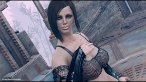 Nora. Fallout-4 (Сборка 10.5)