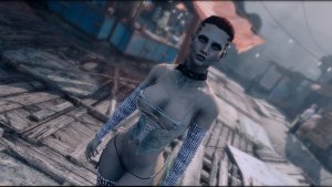 Профессионалка.. Fallout-4 (Сборка 10.5)