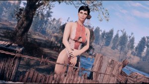 Стражница.. Fallout-4 (Сборка 10.5)