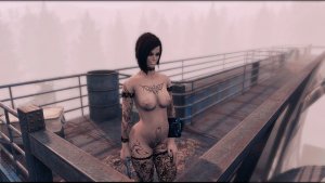 Перспектива кадра ;) Fallout-4 (Сборка 11)