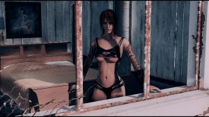 Нел у окна спальни.. Fallout-4 (Сборка 11)