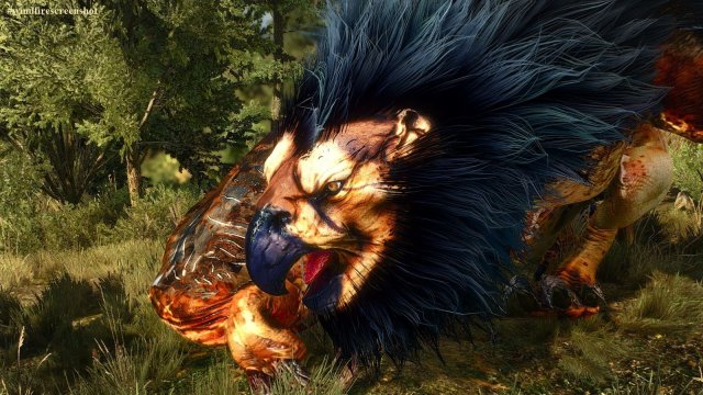 The Witcher 3 Screenshot 2025.04.29 - 20.31.00.80 ГРИФОН.jpg