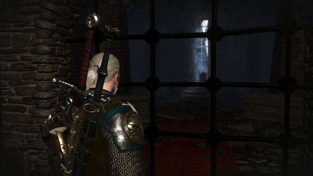 The Witcher 3 Screenshot 2025.05.15 - 21.34.29.48.jpg