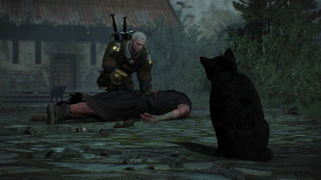 witcher3 2022-04-21 21-28-19-90.jpg