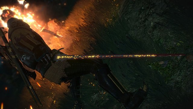 The Witcher 3 Screenshot 2025.05.25 - 21.44.38.61.jpg