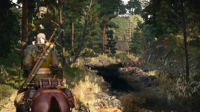 The Witcher 3 Screenshot 2025.05.18 - 18.41.42.22.jpg