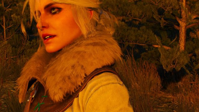 witcher3 2022-01-21 20-48-11-62.jpg