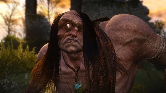 The Witcher 3 Screenshot 2025.05.02 - 21.49.57.78.jpg