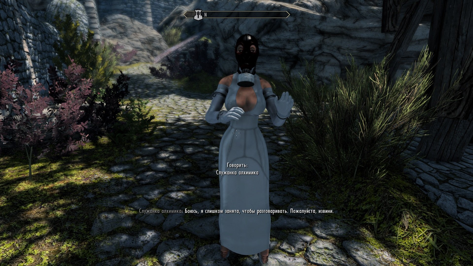 Devious Eyecandy NPCs RUS