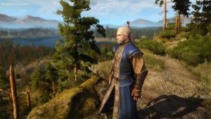 ПЕЙЗАЖНОЕ, с Геральтом. Ведьмак III (сборка Торна)