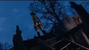 На посту. Poselenia Windfire Fallout-4