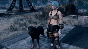 Ви и собака. Fallout-4 (Сборка 11)