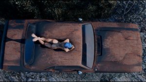 На крыше Доджа. Fallout-4 (Сборка 11)