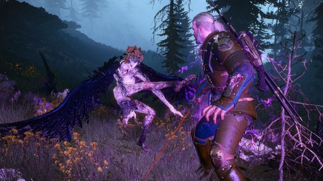 The Witcher 3 Screenshot 2025.06.06 - ГАРПИЯ.jpg