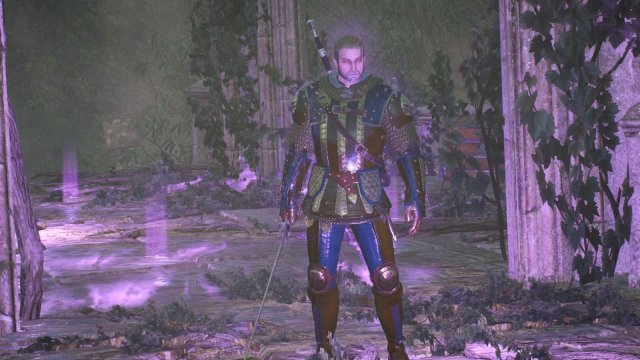 The Witcher 3 Screenshot 2025.06.17 - 23.25.47.61.jpg