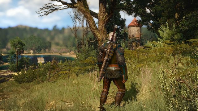 The Witcher 3 Screenshot 2025.05.18 - 22.28.08.23.jpg